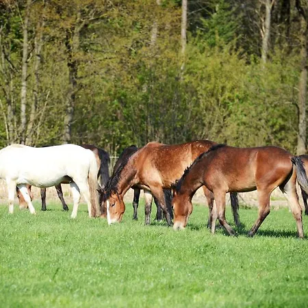Filippus Vakantiehoeve * Maldegem
